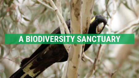 A biodiversity sanctuary
